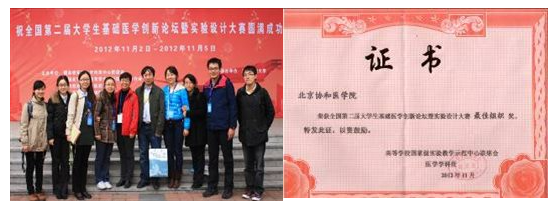 ddee4f7513d14e9b8b682b76ccd3b708.png image.png