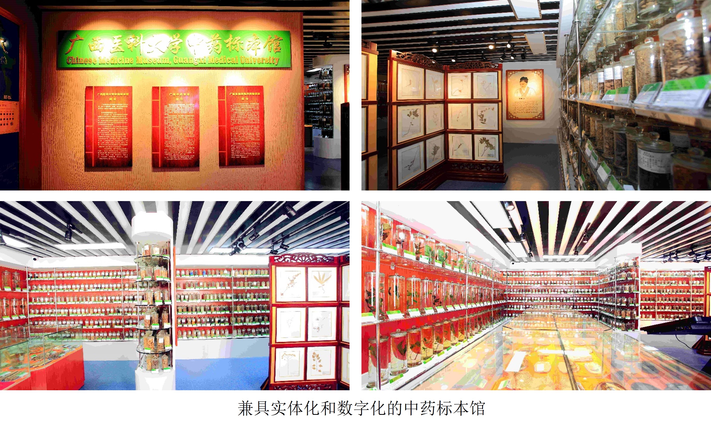 中药标本馆2.jpg