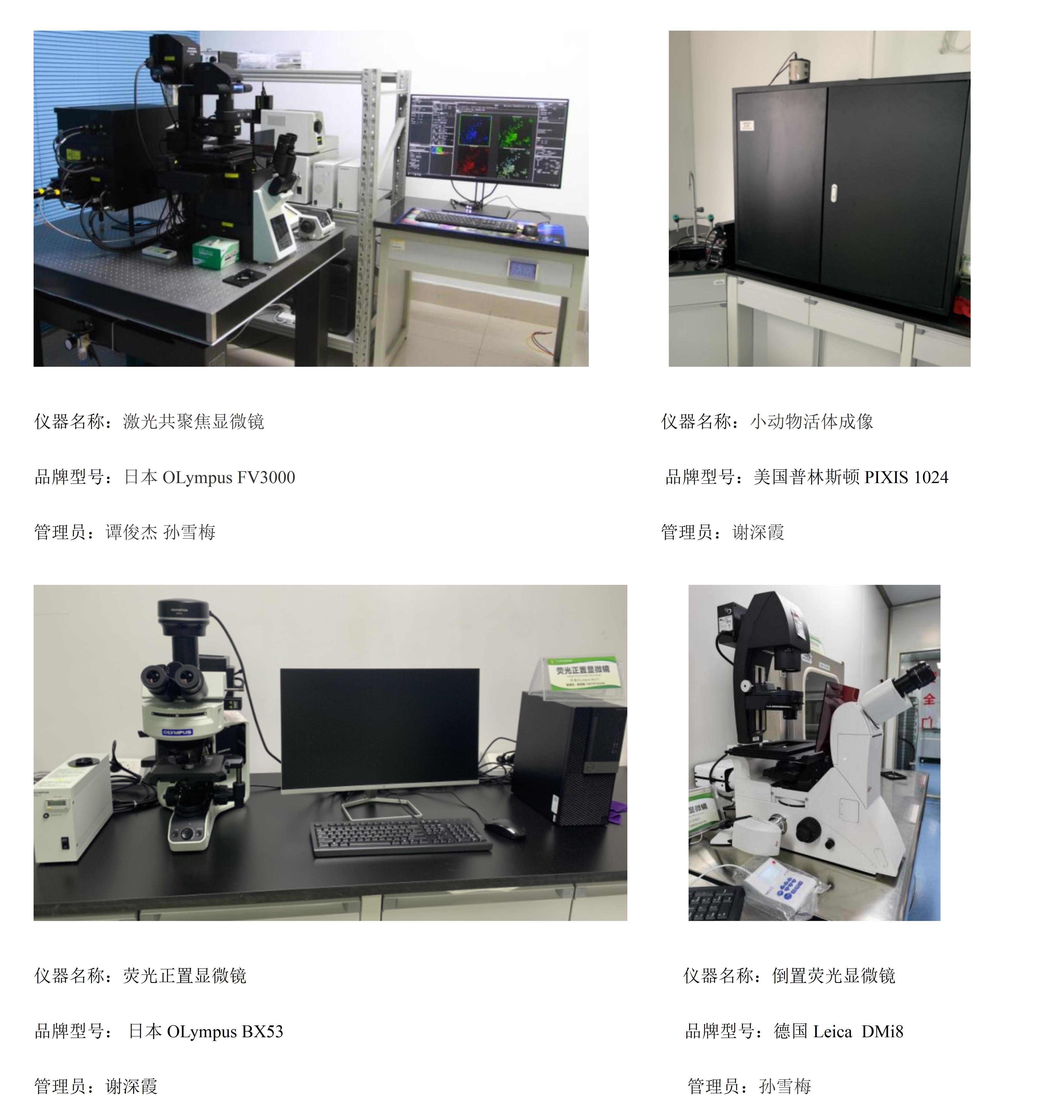 六、影像学平台.jpg